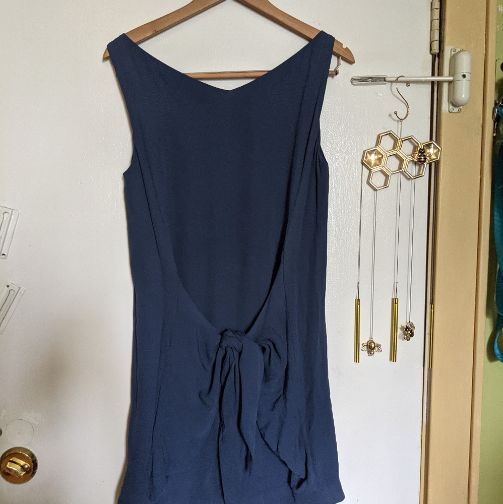 Beautiful silk shift dress.  Worn twice.  Pockets!